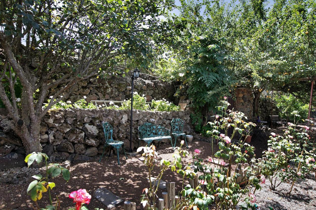 Finca Las Carmenes Icod De Los Vinos Exterior foto